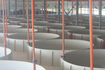 Бассейн для выращивания рыбы